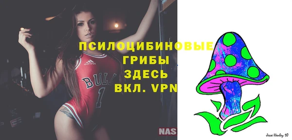 дживик Приозерск