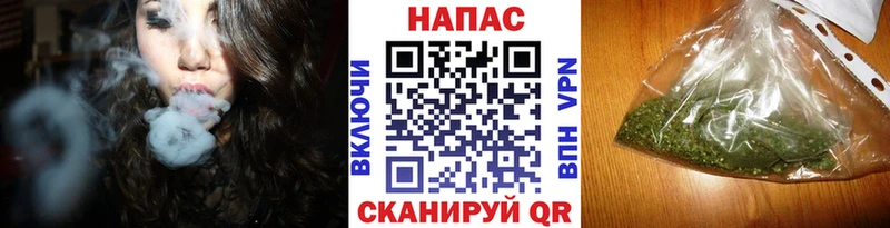 Бошки марихуана THC 21%  Купить  Колпашево 